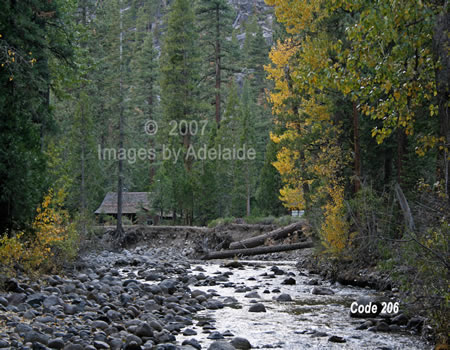 Cabin Along the River